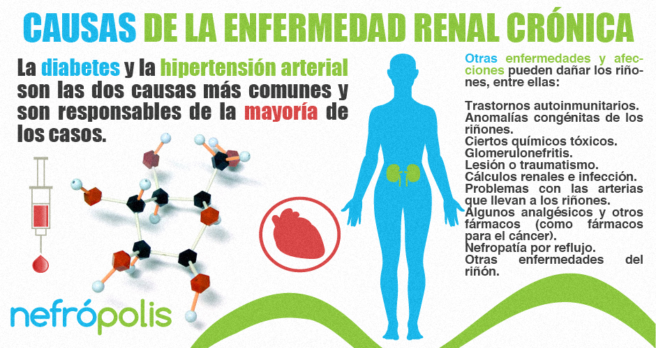 ¿Qué Son Las Enfermedades Renales? – Clinica San Francisco Costa Rica